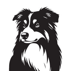 Graceful Herding: Vector Silhouette of Australian Shepherd - Capturing the Elegance and Vigilance of this Beloved Working Dog Breed. Vector Australian Shepherd silhouette.