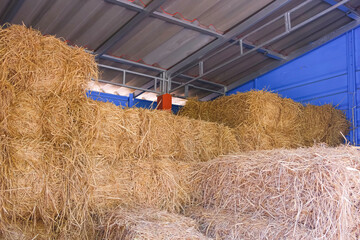 Group of straw bales inside of steel barn in livestock farm, perspective side view