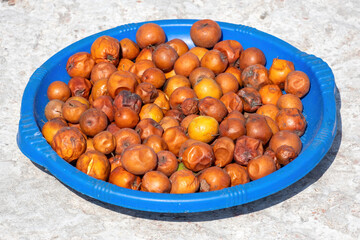 Plums are being dried in the sun. Red jujube fruits dried on a blue plastic bowl. Ziziphus mauritiana also known as Chinese date, and Chinese apple. It is locally called Boroi or Kul in Bangladesh.