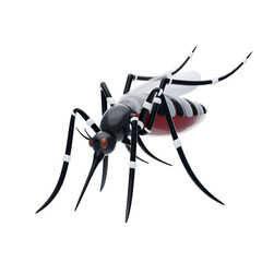 3D Mosquito Model Tiny Wings. 3d illustration, 3d element, 3d rendering. 3d visualization isolated on a transparent background