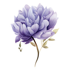 Purple and blue flowers with delicate white petals bloom in a vibrant spring garden
