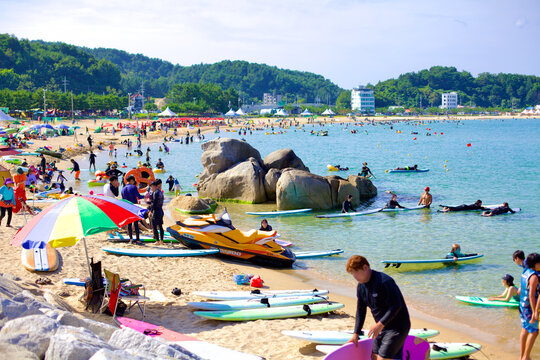 Vibrant Surf Scene at Jukdo Beach