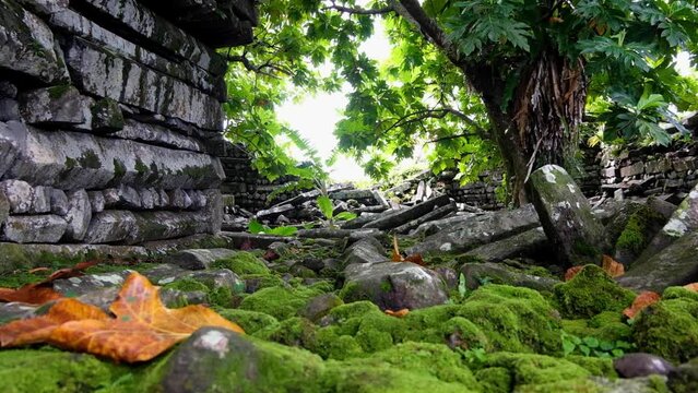 Scenic view of the stone outer walls with moss covered pathway at the ancient city of Nan Madol in Pohnpei, Federated States of Micronesia