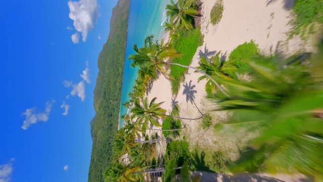 Vertical FPV aerial over exotic palm trees to tropical sand beach panorama