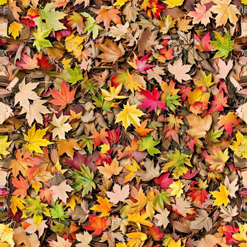Seamless pattern high angle view of colorful autumn leaves on the forest floor multi colored fall themed background