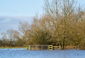 Farm gate in flood water