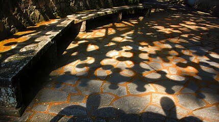 Play of Shadows: Photographs highlighting the interesting patterns and shapes created by sunlight's shadows.