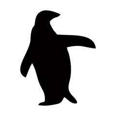 Fototapeta premium black penguin silhouette walking and skating