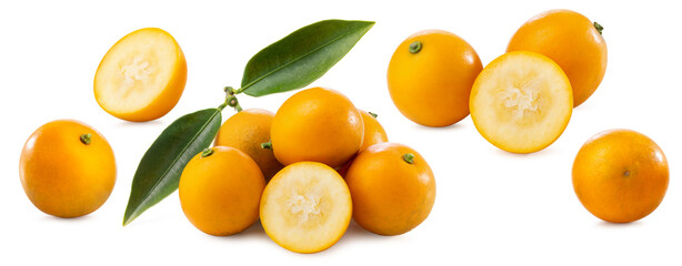 fresh kumquat fruit with green leaves on white background.