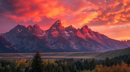 The awe-inspiring Grand Tetons, rising dramatically from the Wyoming landscape. 