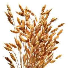 Brown rice, transparent background, isolated image, generative AI