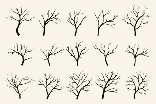 set of different winter trees, vector illustration, hand drawn design element