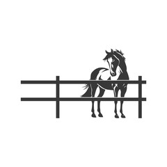 Black and white stylized horse walks in paddock
