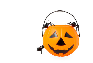 Halloween Jack o Lantern pumpkin bucket, plastic pumpkin and spiders in the jack basket isolated on white background with clipping path. Scary Scary halloween's