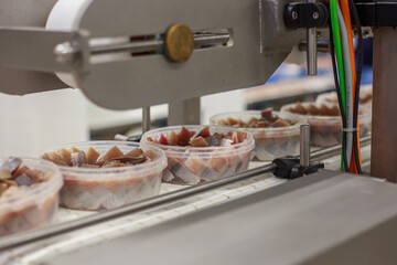 Closeup view of conveyor line for packing pieces of atlantic herring.