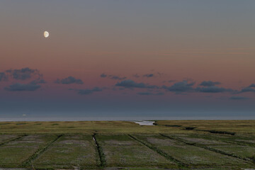 Moon shining over the salt marshes and the wadden sea at Juist, East Frisian Islands, Germany.