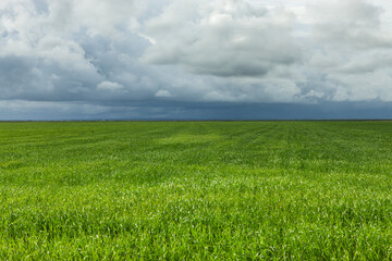 Green field and cloudy sky
