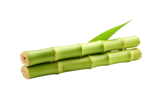 Three Pieces of Bamboo Stacked. Three bamboo pieces stacked on top of each other. The bamboo pieces are of varying lengths and size. On PNG Transparent Clear Background.