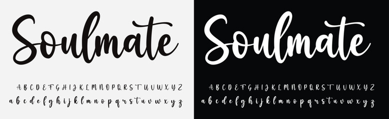 Signature Font Calligraphy Logotype Script Brush Font Type Font lettering handwritten