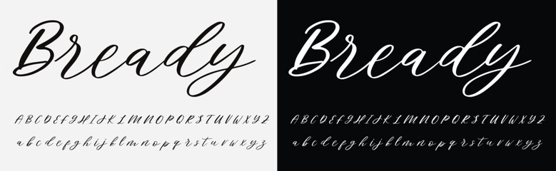 Signature Font Calligraphy Logotype Script Brush Font Type Font lettering handwritten