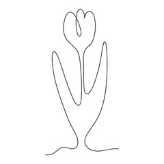 Tulip continuous one line drawing. Vector illustration