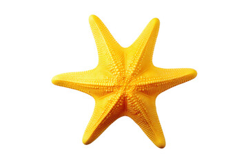 Fototapeta na wymiar Yellow Starfish. A bright yellow starfish is showcasing its unique shape and color. The starfish is positioned centrally, with its arms spread out. On PNG Transparent Clear Background.