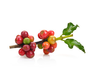 Red coffee beans , ripe berries isolated on white background