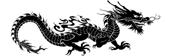 black and white dragon