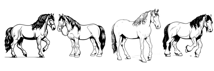 Fototapeta na wymiar black and white sketch of a horse