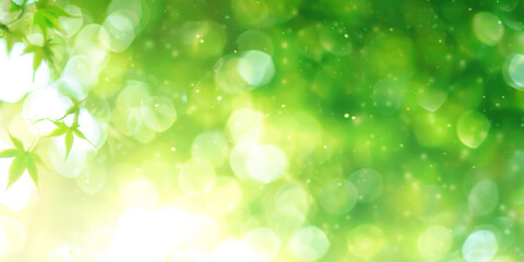 Obraz premium green leaves blurred light background, green Spring bokeh nature abstract background , green leaves with sunlight , banner