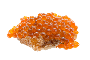 Close Up of a Bunch of Orange Beads. This close up shot captures a tight cluster of orange beads. Each bead is uniform in size and shape. On PNG Transparent Clear Background.