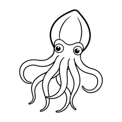Vector of squid illustration coloring page for kids