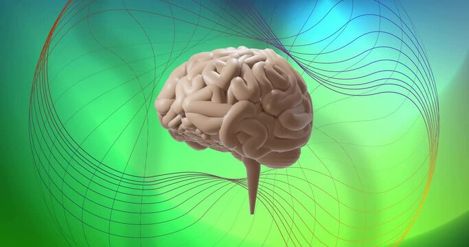 Animation of rotating brain over 3d network structure on soft green background