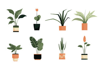 Fototapeta na wymiar collection of elegent potted plant vector illustration