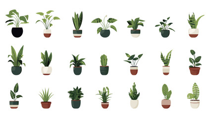 collection of green potted plant vector illustration - obrazy, fototapety, plakaty