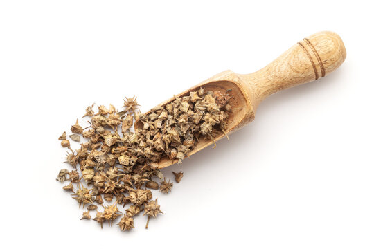 Top view of Dry Organic Gokhuru (Tribulus terrestris) fruits,  in a wooden scoop. Isolated on a white background.