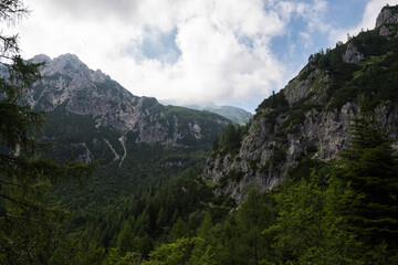 Lush, green canyon in the Julian Alps of Slovenia