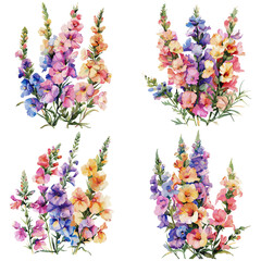 Snapdragon Flowers set watercolor isolated on white background