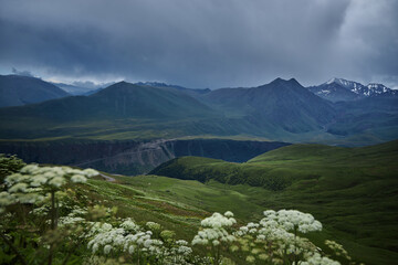 Caucasus mountains nature unveils its breathtaking beauty in every season. Vibrant wildflowers blooming in alpine meadows to majestic mountains towering against the azure sky