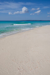 Fototapeta premium Es Arenals, Migjorn beach, Formentera, Pitiusas Islands, Balearic Community, Spain