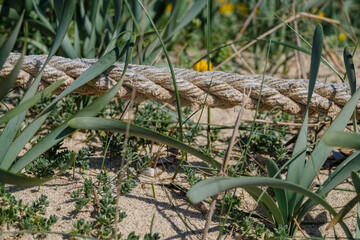 Migjorn beach, Formentera, Pitiusas Islands, Balearic Community, Spain