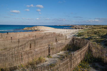 barriers for dune protection, Llevant beach, Formentera, Pitiusas Islands, Balearic Community, Spain