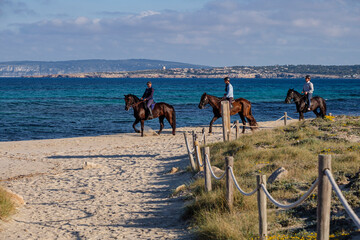 Llevant beach, riding a horse, Formentera, Pitiusas Islands, Balearic Community, Spain