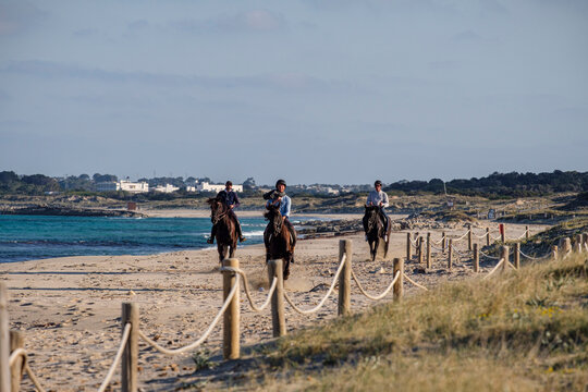 Llevant beach, riding a horse, Formentera, Pitiusas Islands, Balearic Community, Spain