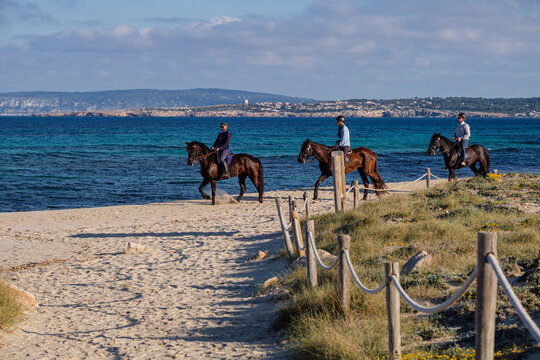 Llevant beach, riding a horse, Formentera, Pitiusas Islands, Balearic Community, Spain