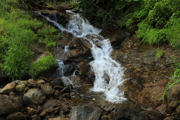 Streams dance through the rocks , Nalliyampathy 