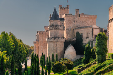 Palace of the Kings of Navarre or Royal Palace of Olite is a castle-palace in the town of Olite, in Navarre, Spain