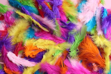 Many beautiful bright feathers as background, top view