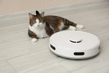 Cute cat and robot vacuum cleaner on floor at home. Lovely pet