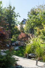 Krasnodar Japanese Garden in Galitsky Park. Japanese maples with red fall foliage grow along stone walking path. To right of trail is grassy area with pampas grass, evergreens and deciduous shrubs.